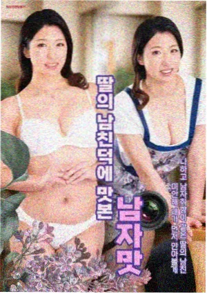 青瓦巷的春天剧集封面